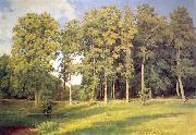 Ivan Shishkin, Grove near Pond